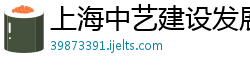 上海中艺建设发展有限公司